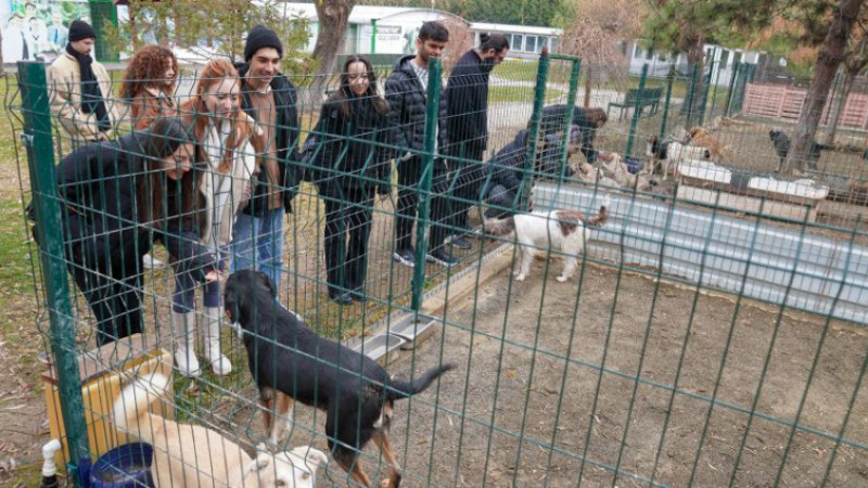 Teşekkürler gençler!